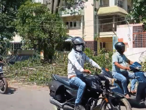 
                 कानपुर के कई इलाकों में 48 घंटे से बिजली-पानी नहीं:दो दिन पहले आई आंधी-बारिश के बाद हालत नहीं सुधरे, 600 रुपये में पानी की टंकी 
            