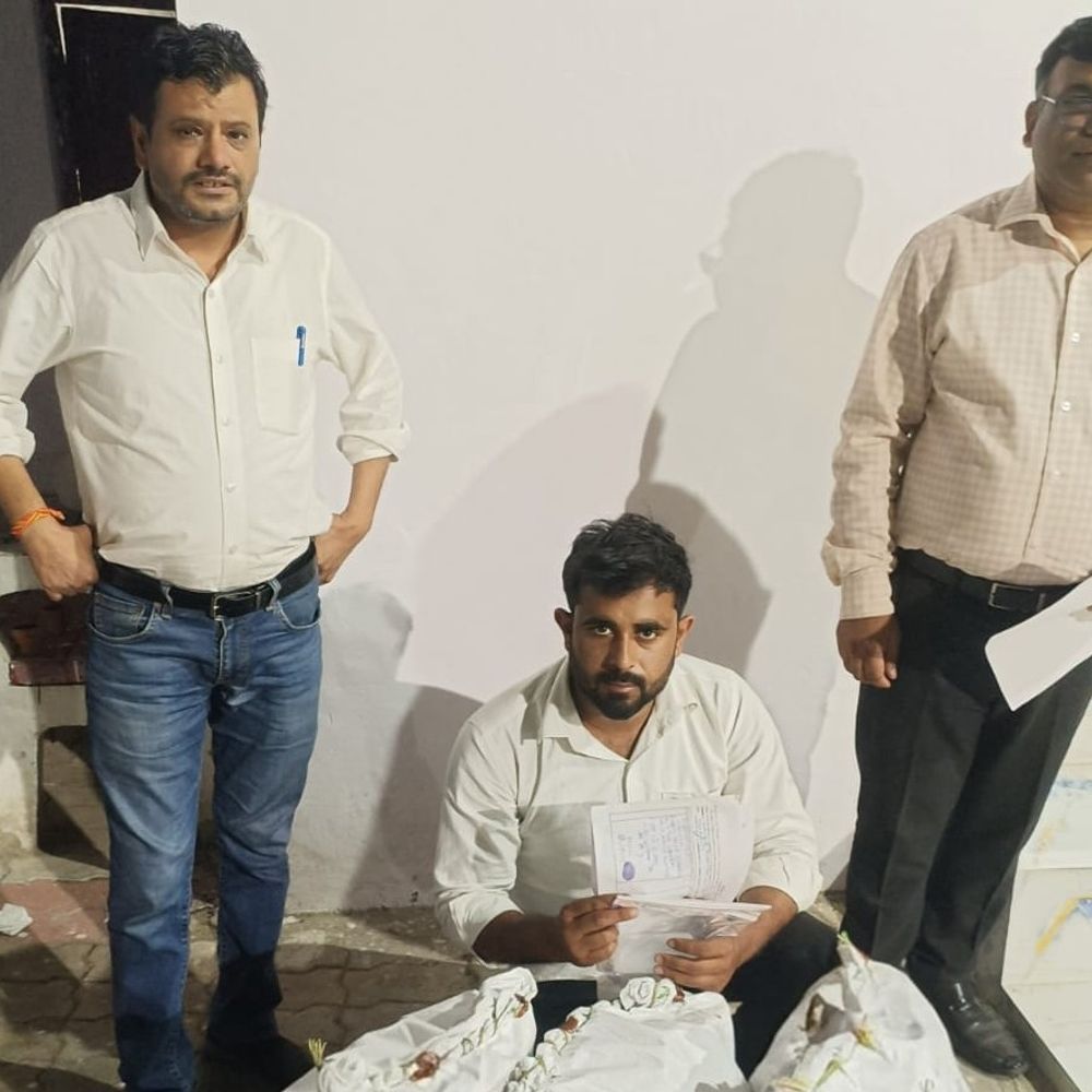 काकोरी में ऑक्सीटोसिन इंजेक्शन के साथ तस्कर गिरफ्तार:5 बोरियों में रखकर ले जा रहा था, STF ने पकड़ा