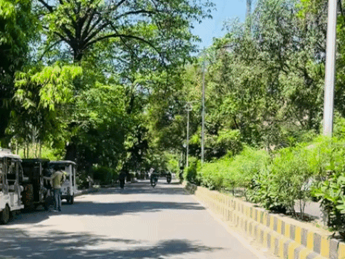 
                 प्रयागराज में रात भर ठण्ड हवाएं, दिन में कड़क धूप:दिन और रात के तापमान में 5°C का अंतर, फिर बदल सकता है मौसम 
            