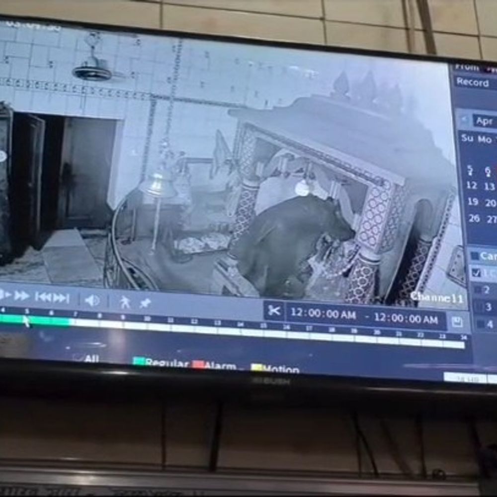 दादरी दुर्गा मंदिर से चांदी का छत्र चोरी:सुबह में पुजारी के पहुंचने पर पता चला, पुलिस बदमाशों की कर रही तलाश