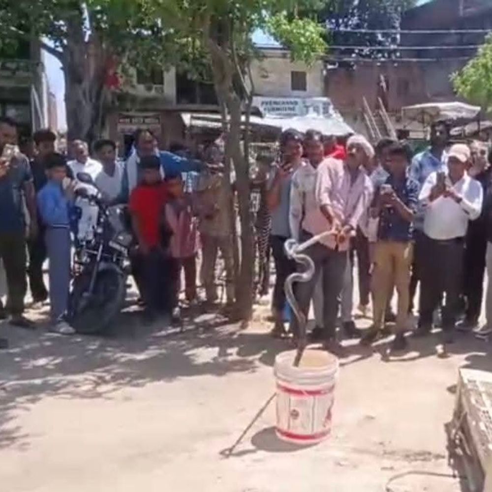 अमेठी के संजीवनी हॉस्पिटल में एसी में कोबरा सांप:कर्मचारियों और स्थानीय लोग डर के मारे सहमे, वन विभाग ने किया रेस्क्यू