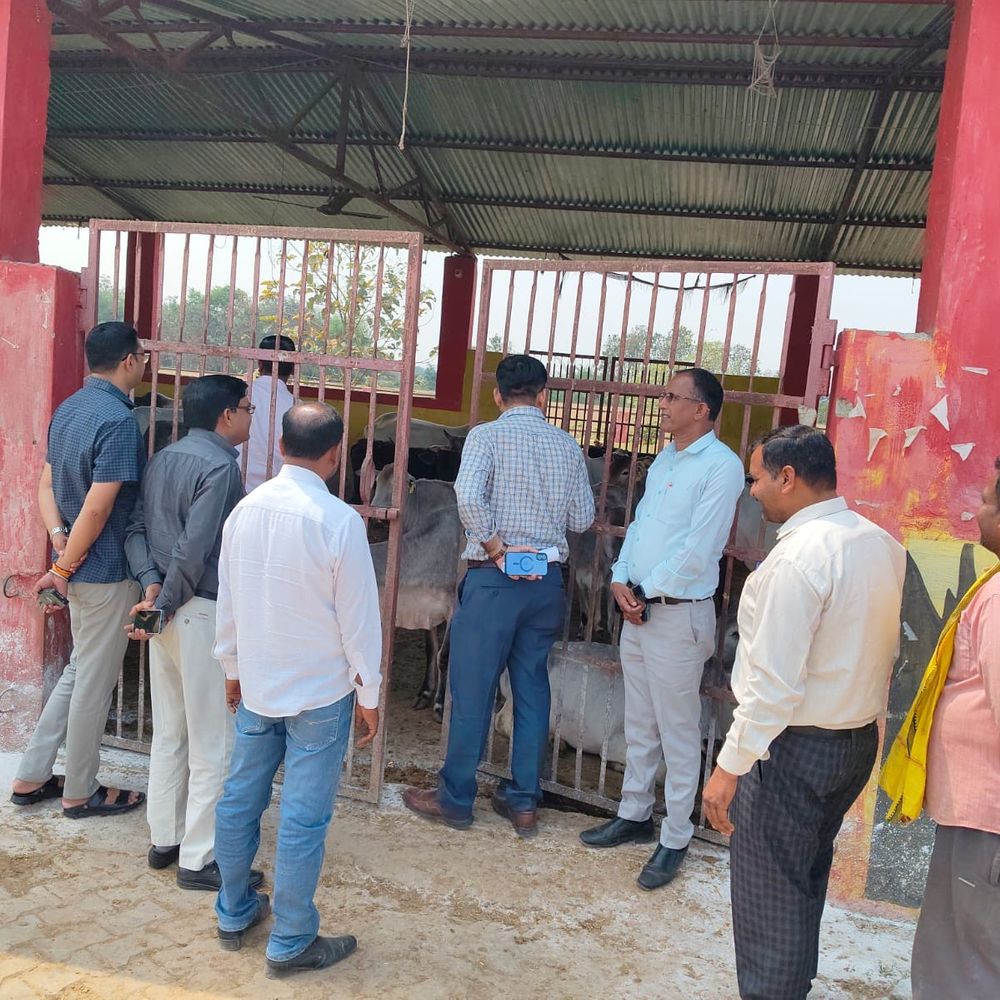 चकदह गौआश्रय में गाय की मौत:महराजगंज के गौआश्रय में फैली अव्यवस्था, जांच में मिली खामियां