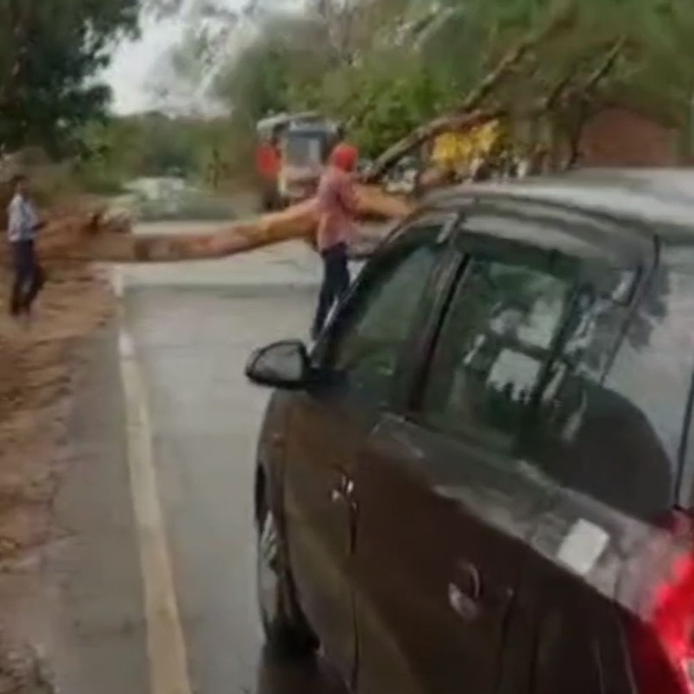 
                 हाथरस में तेज आंधी-बारिश, पेड़ और होर्डिंग्स गिरे:40 किलोमीटर प्रति घंटा की रफ्तार से चली हवा, अधिकतम 34, न्यूनतम 21 डिग्री तापमान 
            