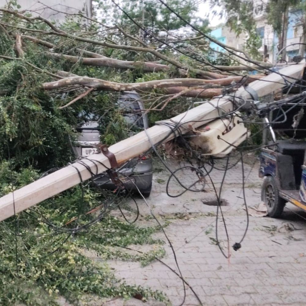 मुरादाबाद में तेज आंधी से पेड़ गिरे:कारें और ई-रिक्शा दबे, बिजली का खंभा टूटा; कई कॉलोनियों में बिजली सप्लाई ठप