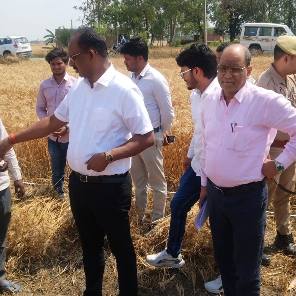 महाराजगंज में क्रॉप कटिंग प्रयोग का निरीक्षण:जिलाधिकारी संतोष कुमार शर्मा ने सोनरा गांव में किया स्थलीय मुआयना
