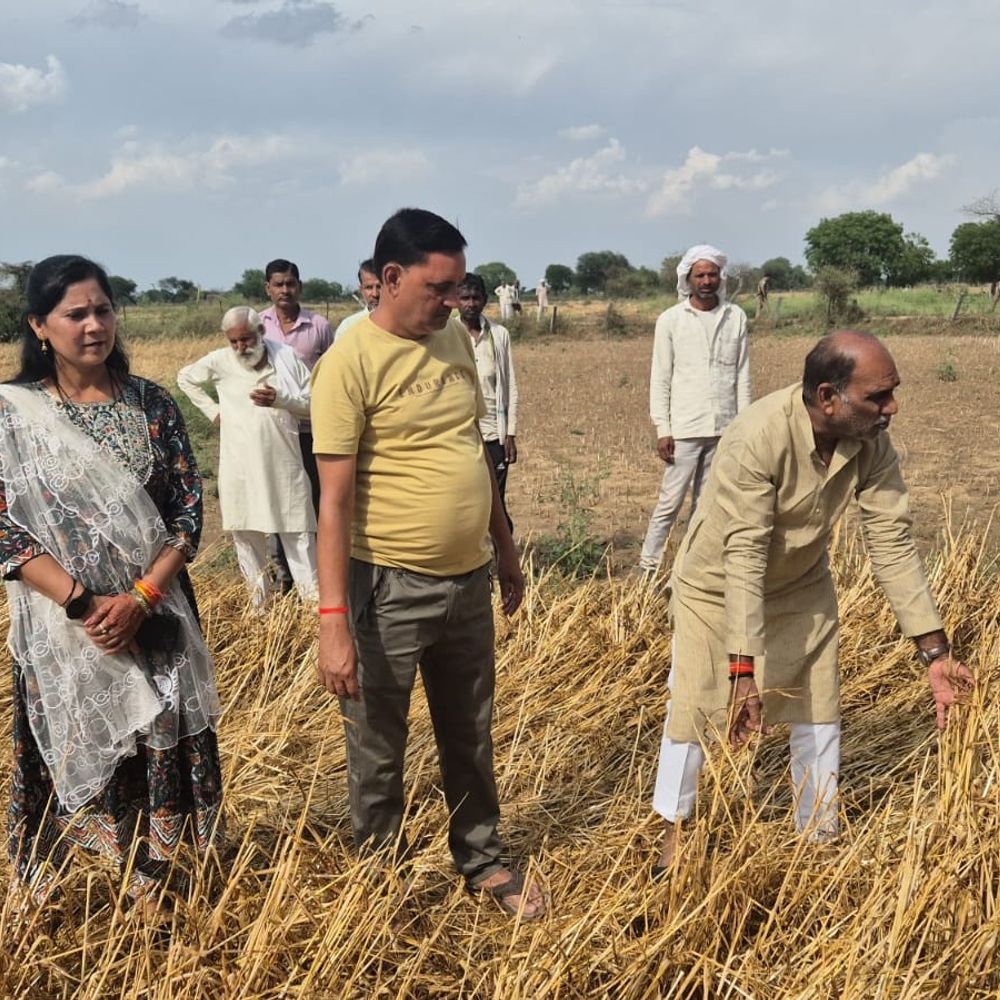 जालौन में ओलावृष्टि से 221 गांव प्रभावित:25,100 किसानों के नुकसान का सर्वे जारी, प्रशासन अलर्ट