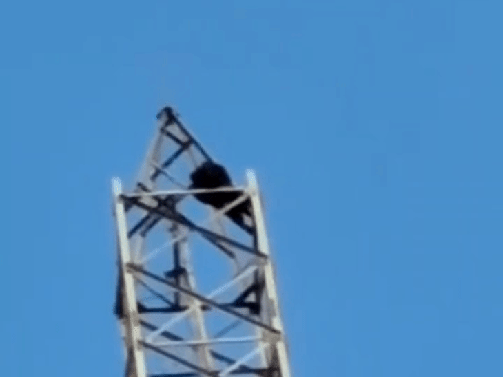 
                 प्रेमी से शादी की जिद...युवती टावर पर चढ़ी, VIDEO:डेढ़ घंटे बाद नीचे उतरी, फोन पर बातकर प्रेमी ने शादी के लिए हां कहा 
            