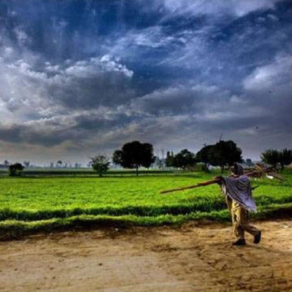 एक बूंद जो चैत में परै, सकल बूंद सावन में:किसानों के लिए आफत बना मौसम, खरीफ सीजन के लिए भी चिंता का संकेत