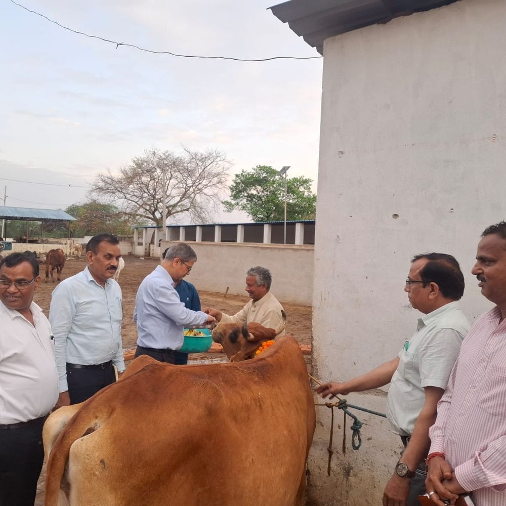 अपर मुख्य सचिव ने गौ आश्रय स्थल का निरीक्षण किया:औरैया में 197 गौवंश संरक्षित पाए गए, गो पूजन कर और गौवंशों को गुड़ खिलाया