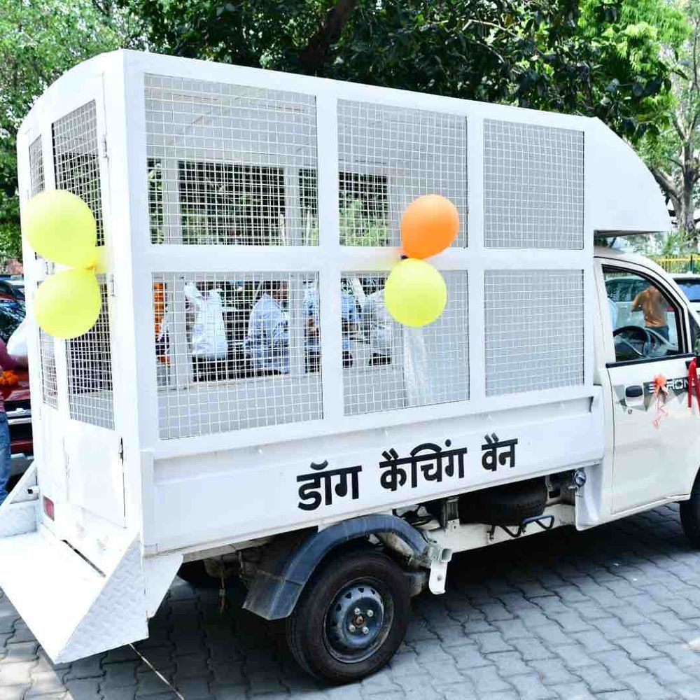 गाजियाबाद में नई डॉग कैचिंग वैन शुरू:आवारा कुत्तों पर नियंत्रण के लिए अभियान को मिली नई रफ्तार