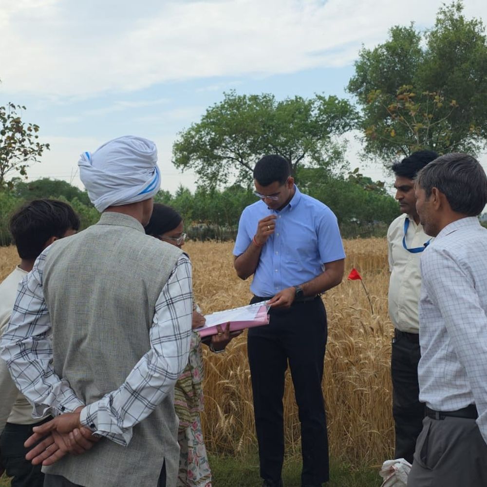 बलरामपुर डीएम की निगरानी में क्रॉप कटिंग:शिवानगर में गेहूं की 54.46 कुंतल प्रति हेक्टेयर उपज दर्ज