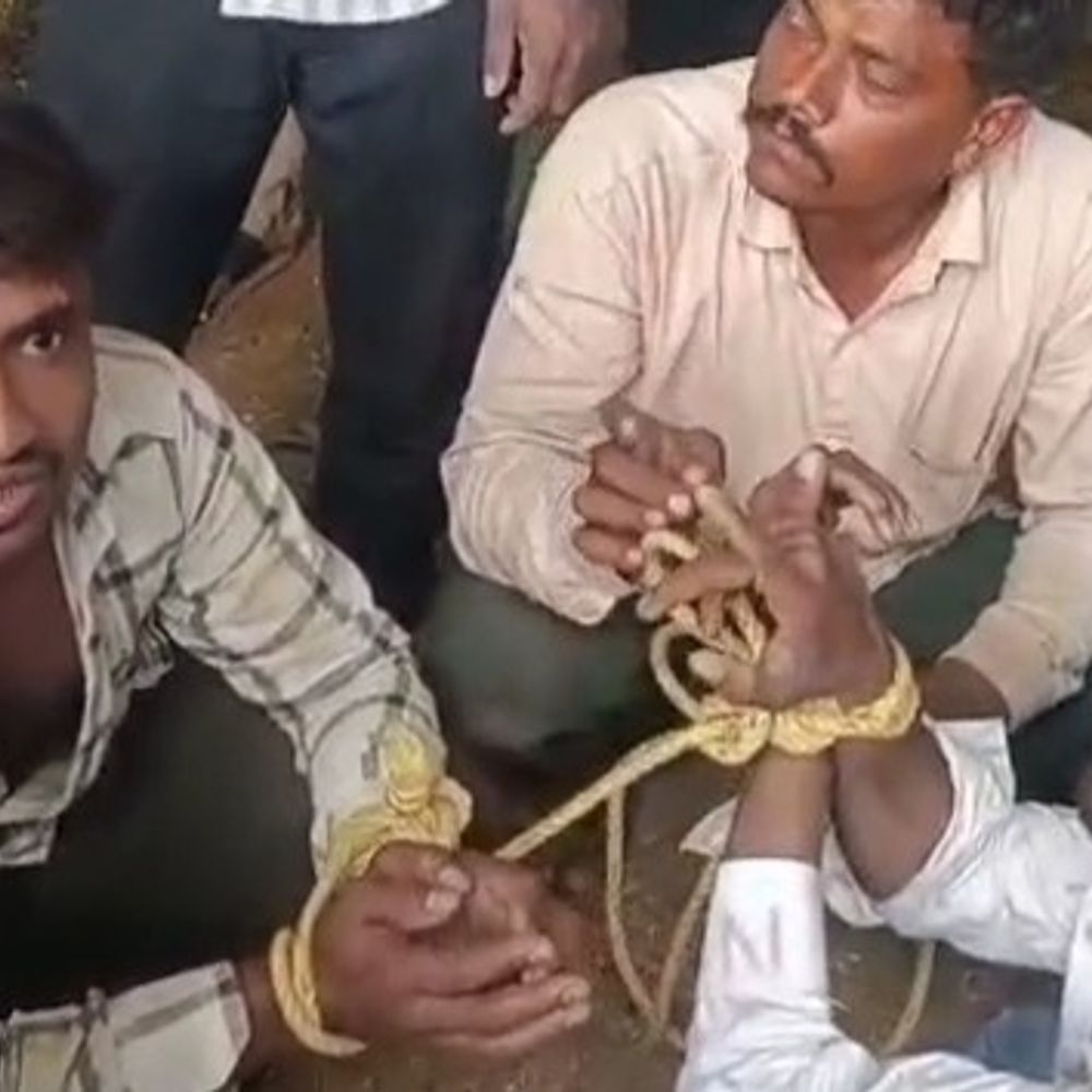 खरगोन में गेहूं और पंखे चुराते रंगेहाथ पकड़ाए बदमाश:  बमनाला गांव में ग्रामीणों ने घेराबंदी कर दबोचा, पुलिस जांच में जुटी – Khargone News