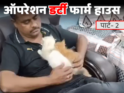 स्वीमिंग पूल में नहाती लड़कियों को देखता था JDU नेता:पीड़ित बोली- पुलिस-VIP गेस्ट भी आते; एजेंट्स से नॉर्थ ईस्ट की लड़कियां मंगवाता