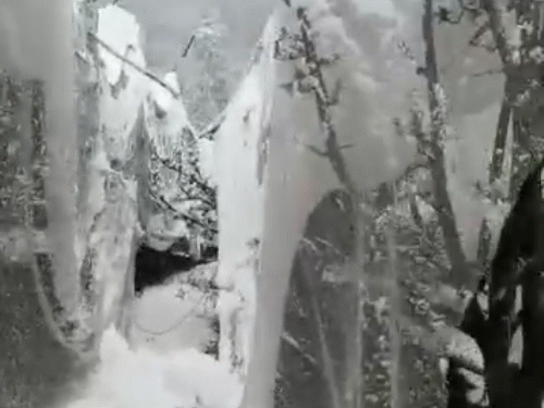 हिमाचल के पहाड़ों पर बर्फबारी, मैदानों में बारिश:सेब बगानों को भारी नुकसान, एंटी हेल नेट क्षतिग्रस्त, तापमान सामान्य से 11॰C नीचे