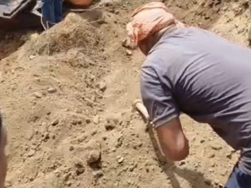 जालौन में दोस्तों ने लड़के की हत्या कर दफनाई लाश:सिर पर बोतल मारकर बोरे में भरा, छोटे भाई से कुकर्म की फोटो देख ली थीं