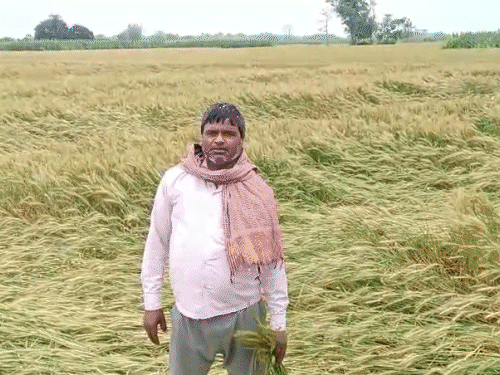 बेमौसम बारिश बढ़ाएगी महंगाई, रसोई का बिगड़ेगा बजट:दाल-रोटी से लेकर प्याज-तेल तक महंगा होगा, 6% कम होगी मानसून की बारिश