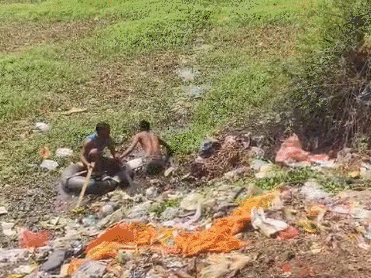 5 घंटे तालाब में छिपा रहा 400 चोरियों का मास्टरमाइंड:कमल की डंठल से लेता रहा सांस, गोताखोरों ने पकड़ा; बिजनौर में पार्षद रह चुका है