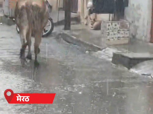 मेरठ-बरेली में ओले गिरे, 25 शहरों में आंधी-बारिश:मुजफ्फरनगर में 20 फीट सड़क धंसी, लखनऊ में फ्लाइट चक्कर लगाकर लौटी