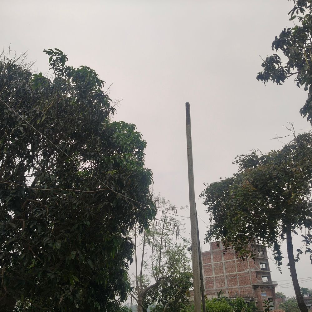 शिवहर में तेज हवाओं के साथ बदला मौसम:बूंदाबांदी से किसानों की चिंता बढ़ी, गेहूं की कटाई पर मंडराया खतरा