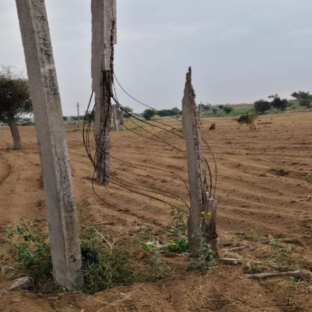 जैसलमेर में बेमौसम बारिश का कहर, 216 बिजली पोल गिरे:  फसलों को भारी नुकसान, भणियाणा और मोहनगढ़ में जनजीवन ठप – Jaisalmer News