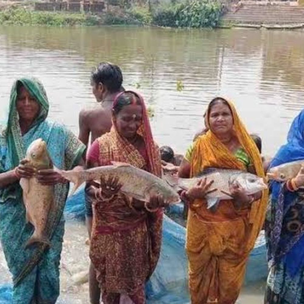 स्वयं सहायता समूह की महिलाएं करेंगी मत्स्य पालन:जौनपुर में अमृत सरोवरों में शुरू हुई पहल, 21 ब्लॉक शामिल