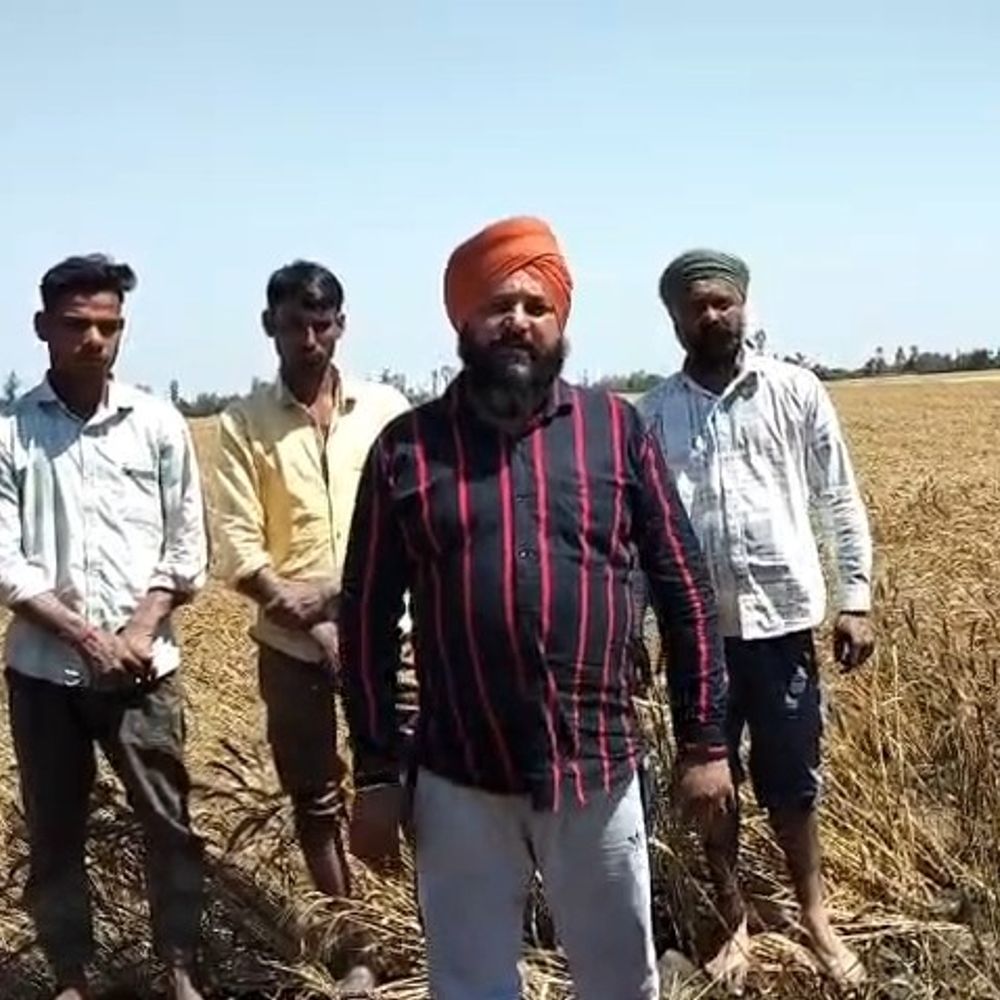 किसान संगठन करेंगे पूरनपुर कोतवाली का घेराव:गेहूं खरीद में धांधली और उत्पीड़न के आरोप पर सामूहिक गिरफ्तारी