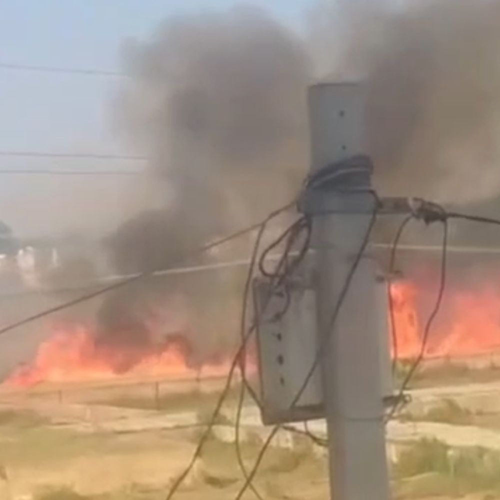 हाईटेंशन लाइन की चिंगारी से 20 बीघा गेहूं जला:किसान ने बिजली विभाग पर लापरवाही का आरोप लगाया, डेढ़ लाख का आर्थिक नुकसान