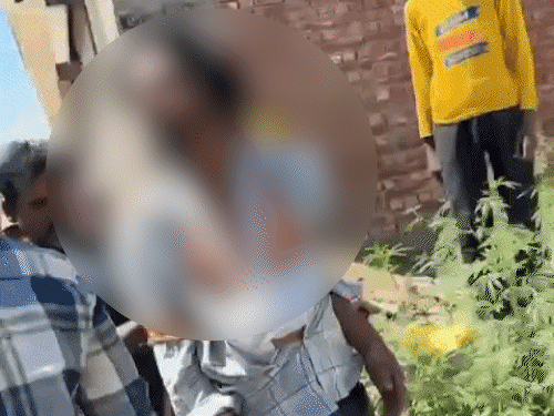 मोहाली में युवक को खंभे से बांध तालीबानी सजा:  वीडियो वायरल,दुकान में दो बार चोरी,जेब से मिला चिट्टा और गांजा, छोटे बेटे के साथ पहुंची पत्नी – Chandigarh News