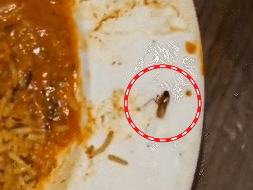 गोरखपुर में बिरयानी में निकला काकरोच, VIDEO:बर्थडे पार्टी मनाने पहुंची फैमिली, जांच के बाद रेस्टोरेंट बंद