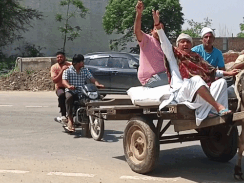 बैलगाड़ी में ढोल के साथ फसल लेकर मंडी पहुंचा किसान:  जुलाना में सरकारी नीतियों का विरोध, बोला-पुराना तरीका आसान, गेट पास मिला – Julana News