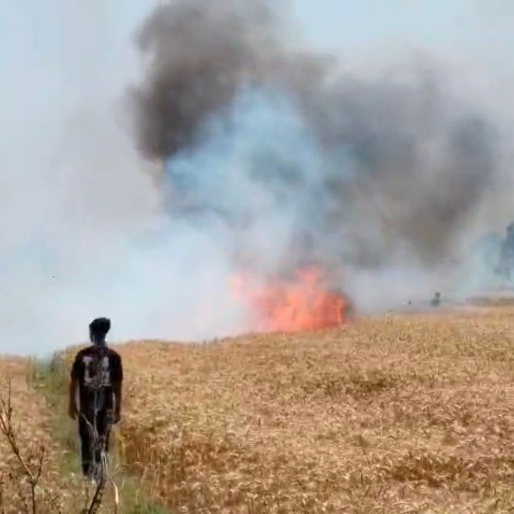 शॉर्ट-सर्किट से 5 बीघा गेहूं की फसल जली:प्रतापगढ़ में तीन किसानों को नुकसान, फायर ब्रिगेड देर से पहुंची