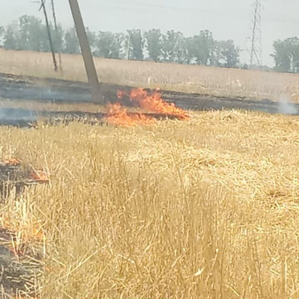 जालौन में हाई टेंशन लाइन से निकली चिंगारी:6 एकड़ भूसा की पराली जलकर राख हुई, आसपास के कई खेत भी जले