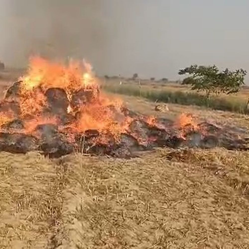 खेत में रखे गेहूं के ढेर में लगी आग:थ्रेसर के कटर से निकली चिंगारी बनी वजह, भारी नुकसान