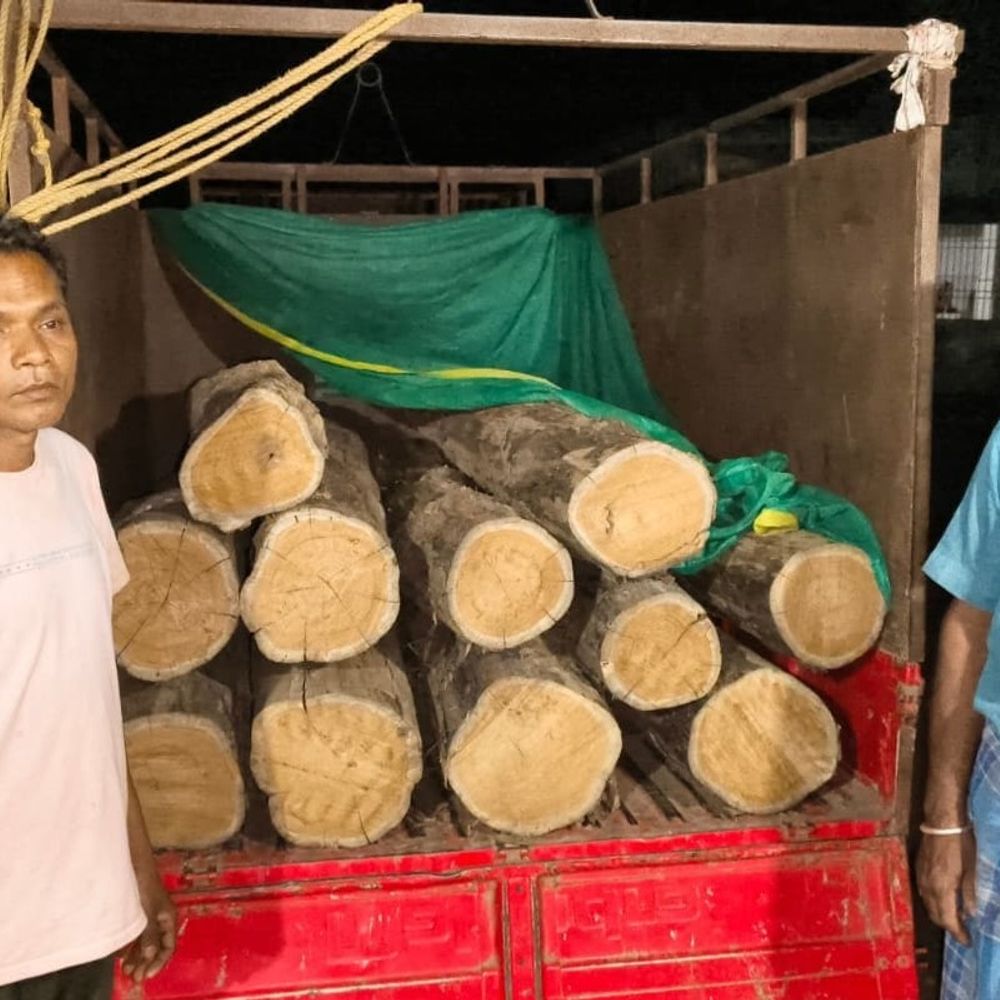वन विभाग की बड़ी कार्रवाई, अवैध सागौन जब्त:  बलौदाबाजार में 5 तस्कर गिरफ्तार, वाहन सहित लकड़ी बरामद – baloda bazar News