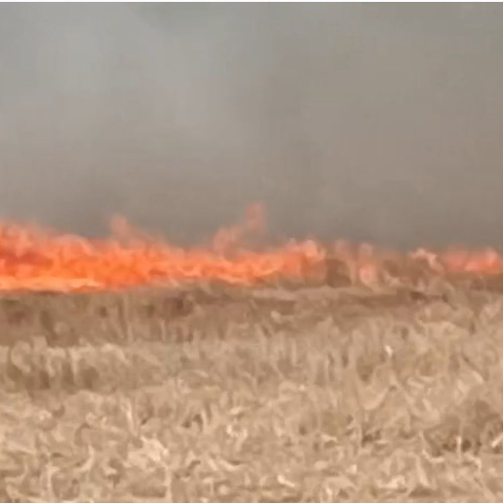 देवरिया के भटनी क्षेत्र में आग की घटनाएं बढ़ीं:नोनापार गांव में लगी भीषण आग, कई एकड़ फसलें हुई बर्बाद