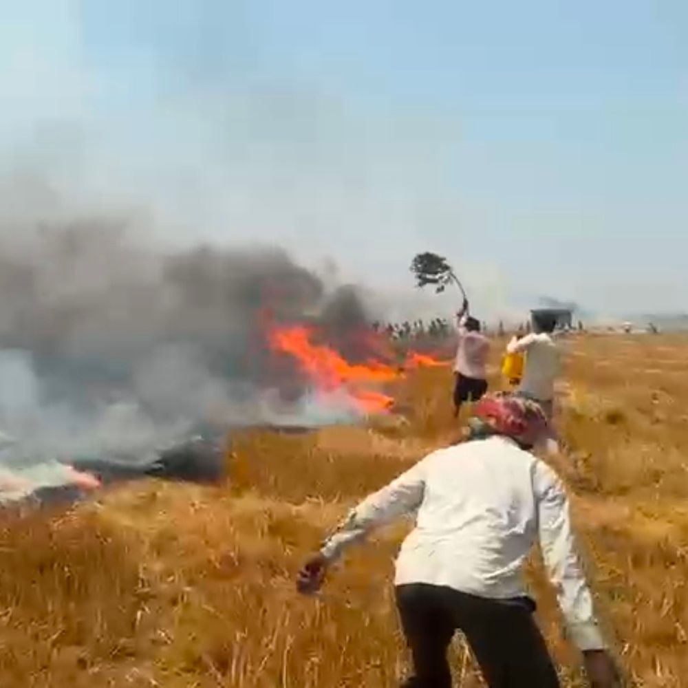 प्रतापगढ़ में शॉर्ट सर्किट से लगी आग:13 बीघा गेहूं की फसल जलकर राख, किसानों को भारी नुकसान