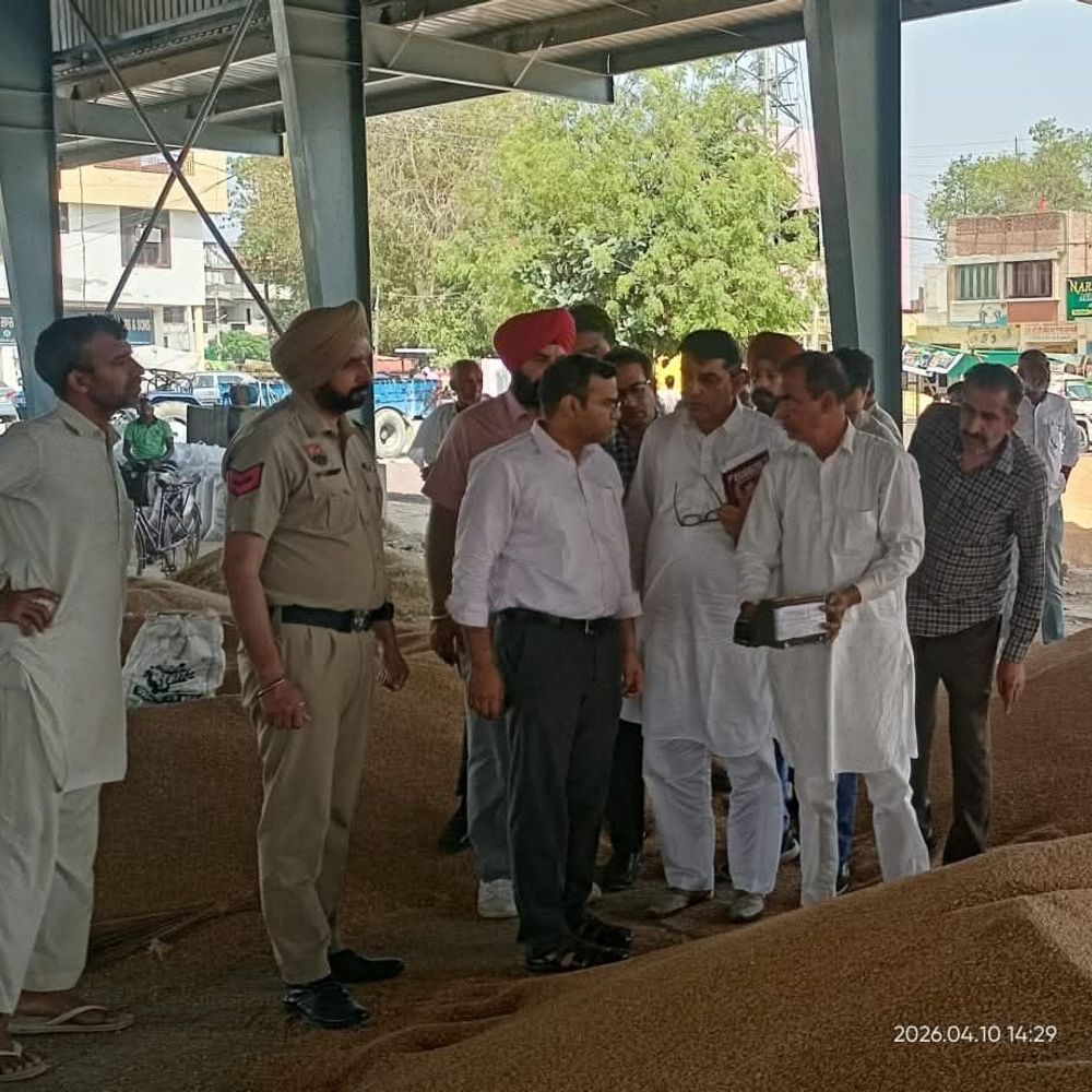 डबवाली एसडीएम ने किया अनाज मंडी का दौरा:  फसल खरीद प्रक्रिया का जायजा लिया, किसानों से बात की, अफसरों को दिए निर्देश – dabwali News