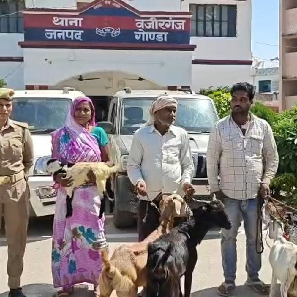 बकरी चोर गिरोह पकड़ा, 4 गिरफ्तार:6 बकरियां और दो स्कॉर्पियो बरामद, मंदिरों में बेचकर और मांस को काटकर बेचते थे