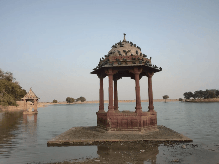 मेघराजसर-तालाब की पाल पर पट्टे काटे,कलेक्टर ईओ से जवाब तलब:APO होने के बाद भी देर रात चली फाइलें,बाप नगरपालिका अफसरों को नोटिस