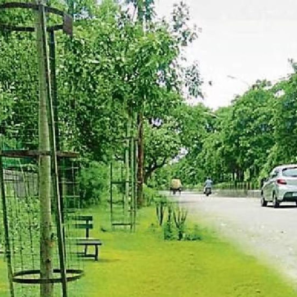 नोएडा की 15 सड़कों को करेंगे डस्ट फ्री:CAQM के निर्देश पर होगा काम, पहले फेज में 30 किमी की सड़क चिन्हित