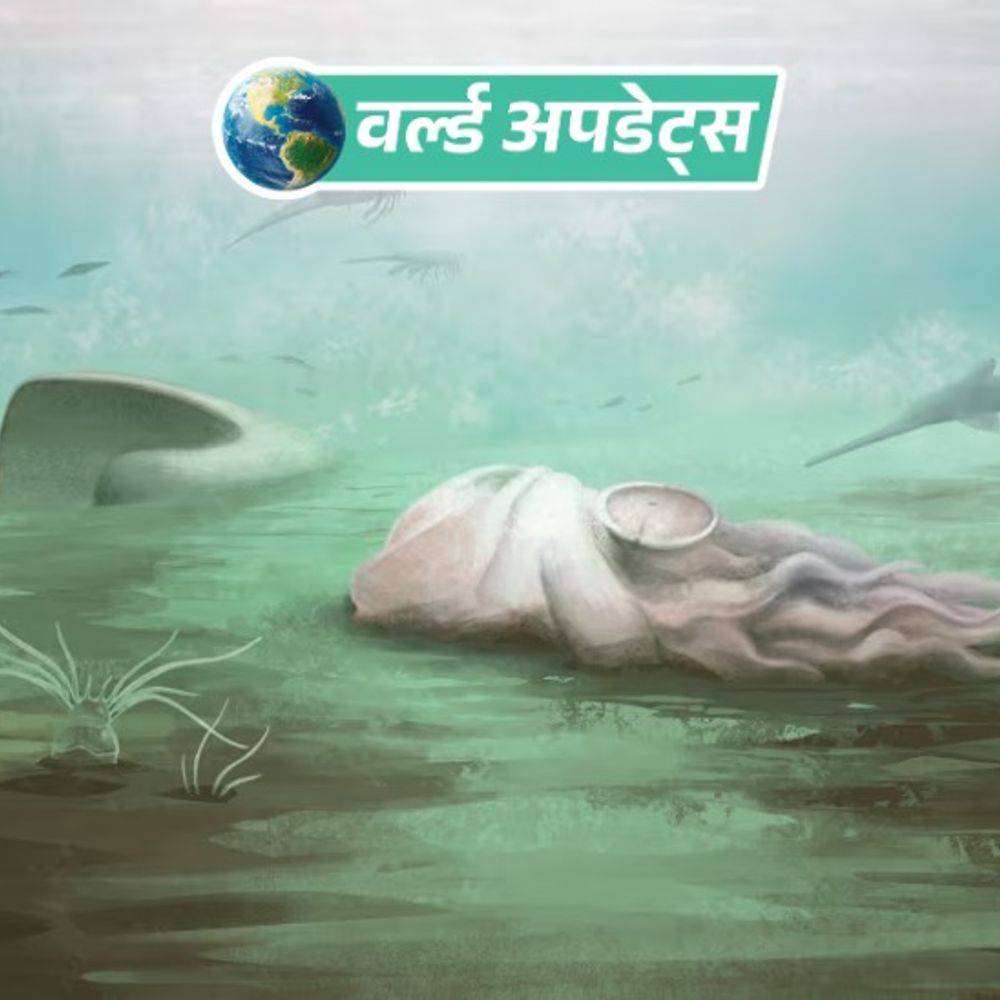 वर्ल्ड अपडेट्स:दुनिया का सबसे पुराना ‘ऑक्टोपस’ फर्जी निकला, सड़-गल जाने के बाद ऑक्टोपस जैसा दिखने लगा था