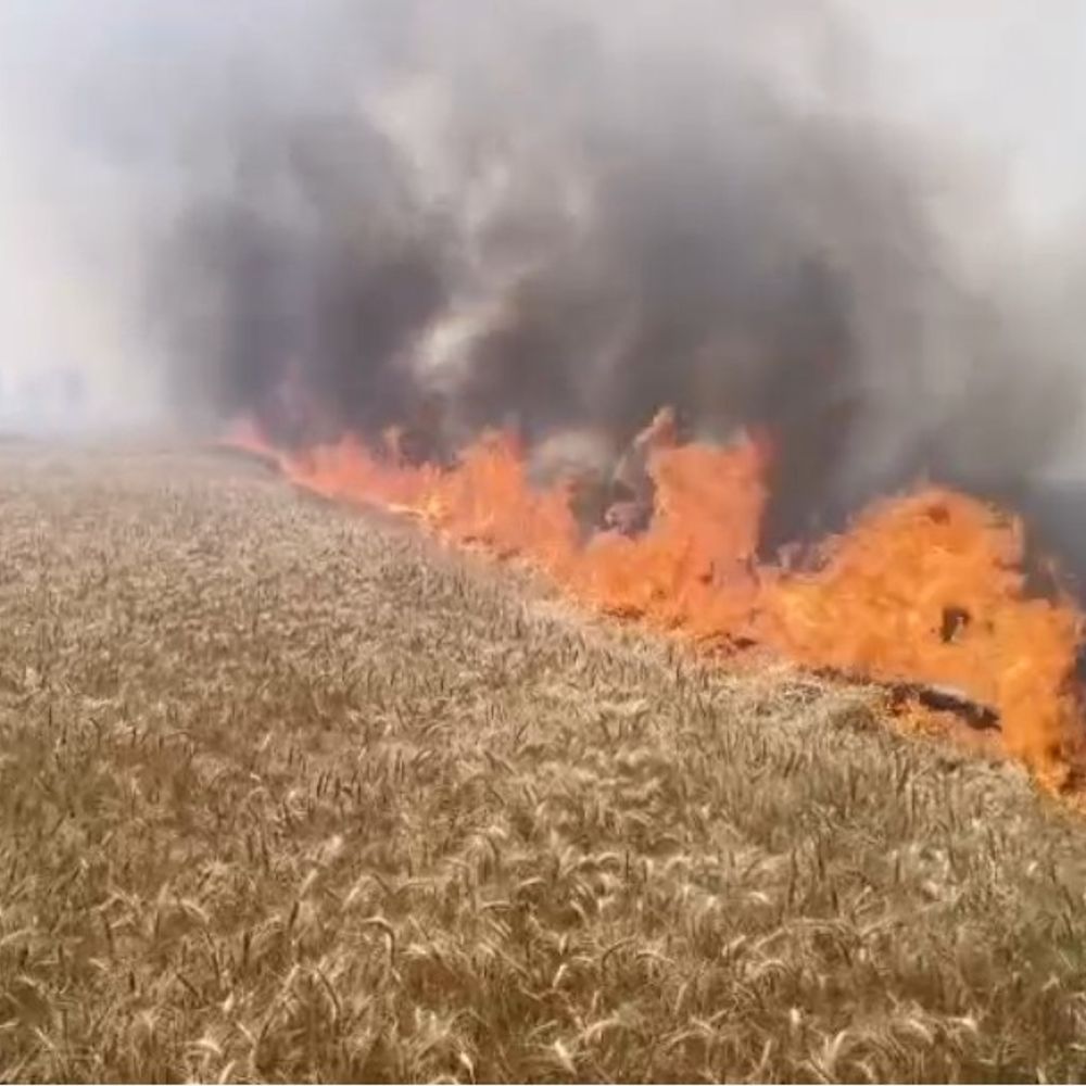 देवरिया में फसलों को आग से बचाने की अपील:डीएम ने किसानों, मशीन संचालकों को सुरक्षा उपाय अपनाने के निर्देश दिए