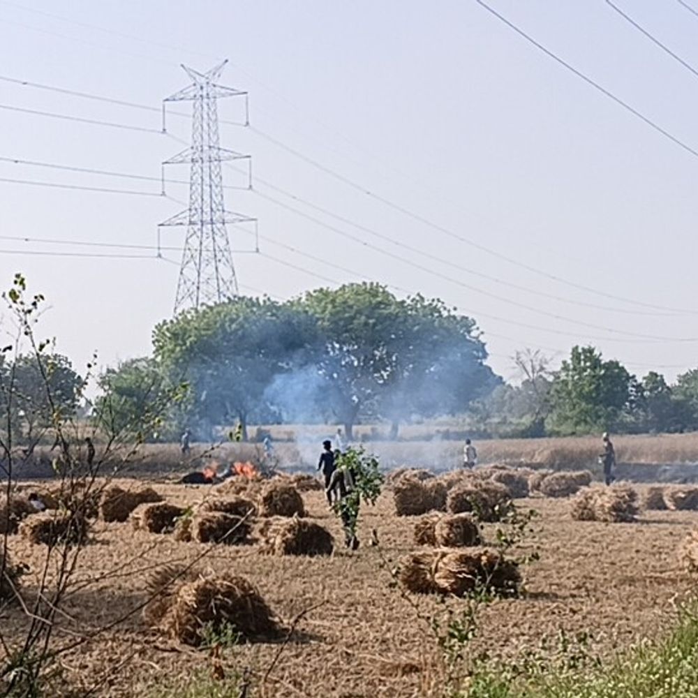 घाटमपुर में शॉर्ट सर्किट से गेहूं के खेत में आग:4 गांव के 65 किसानों की 100 बीघा फसल जली, SDM ने लेखपाल को दिए जांच के निर्देश