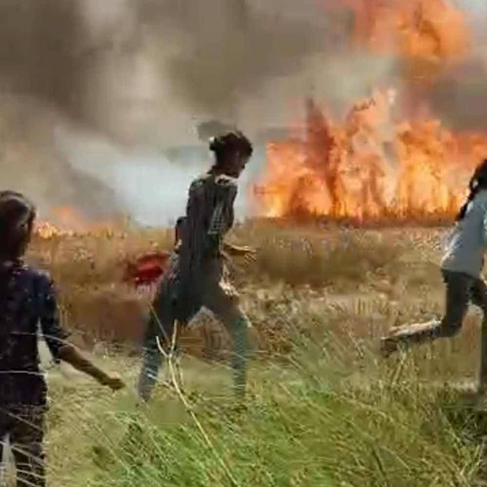 मऊ में गेहूं की फसल में लगी आग:ग्रामीणों ने कड़ी मशक्कत के बाद आग पर पाया काबू, 3 बीघा फसल जली