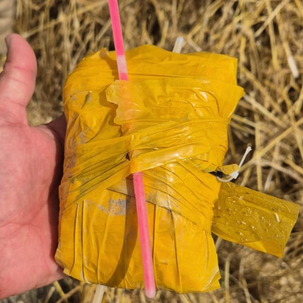 फाजिल्का में गेहूं के खेत से हेरोइन बरामद:  पाकिस्तान से आए ड्रोन ने गिराई, फसल की कटाई के बाद दिखी, 2 घंटे चला सर्च ऑपरेशन – Fazilka News