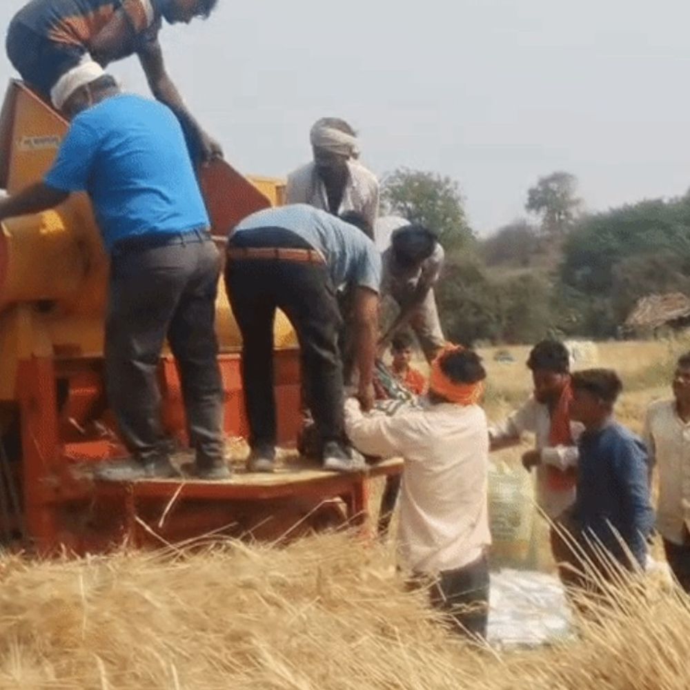 अयोध्या में गेहूं की कटाई तेज, काम शुरू:1.2 लाख हेक्टेयर में हुई थी खेती, बारिश से बाधित था काम
