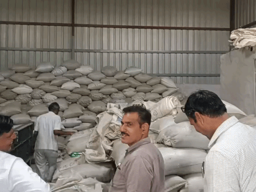 महेंद्रगढ़-रेवाड़ी में तीन गोदामों पर सीएम फ्लाइंग का छापा:  भारी मात्रा में सरसों-गेहूं जब्त, 4.65 लाख रुपये का जुर्माना लगाया – Mahendragarh News
