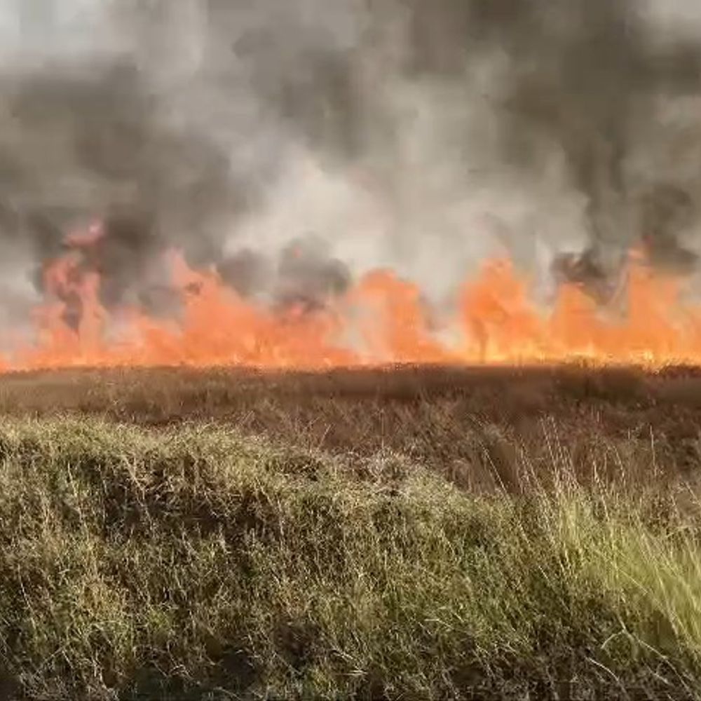 कन्नौज में गेहूं के खेतों में लगी भीषण आग:100 बीघा फसल राख, 4 गांवों के किसानों का हुआ नुकसान