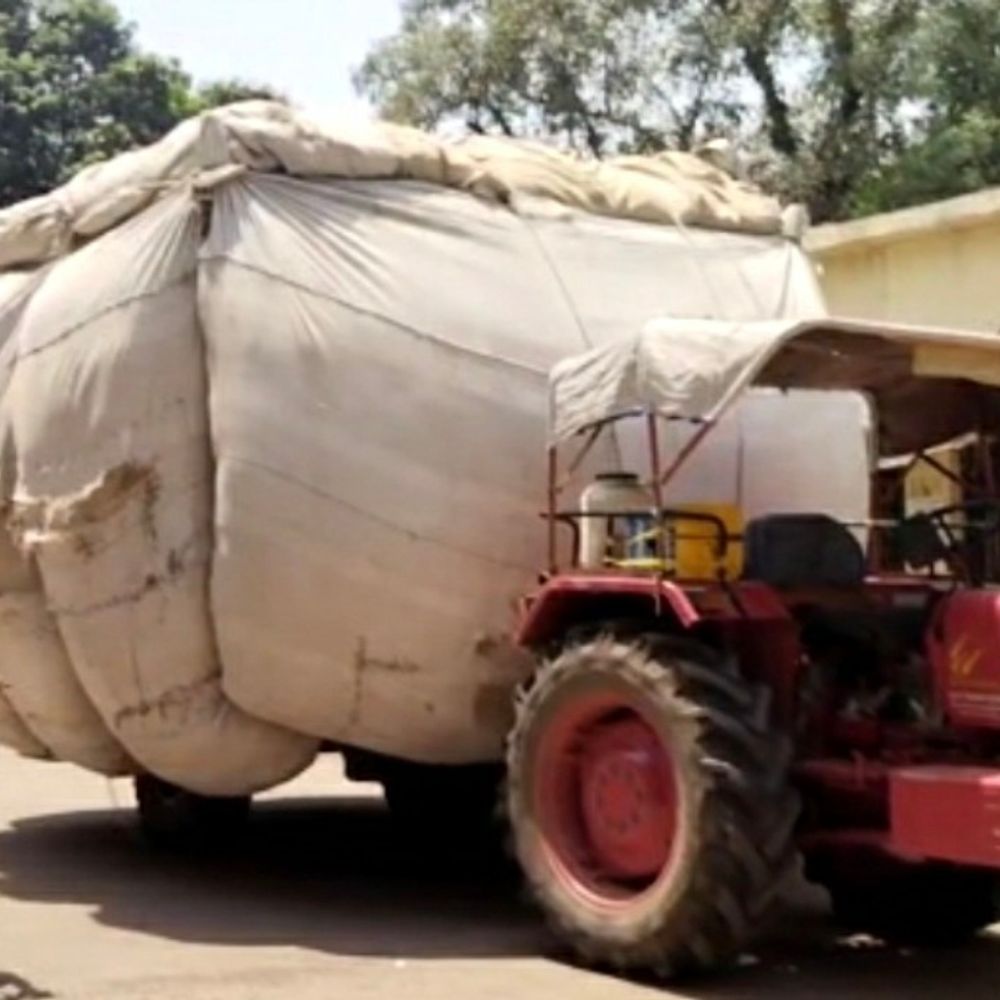 हरदोई में भूसा परिवहन पर प्रतिबंध:गोवंश संरक्षण के लिए जिला प्रशासन का फैसला