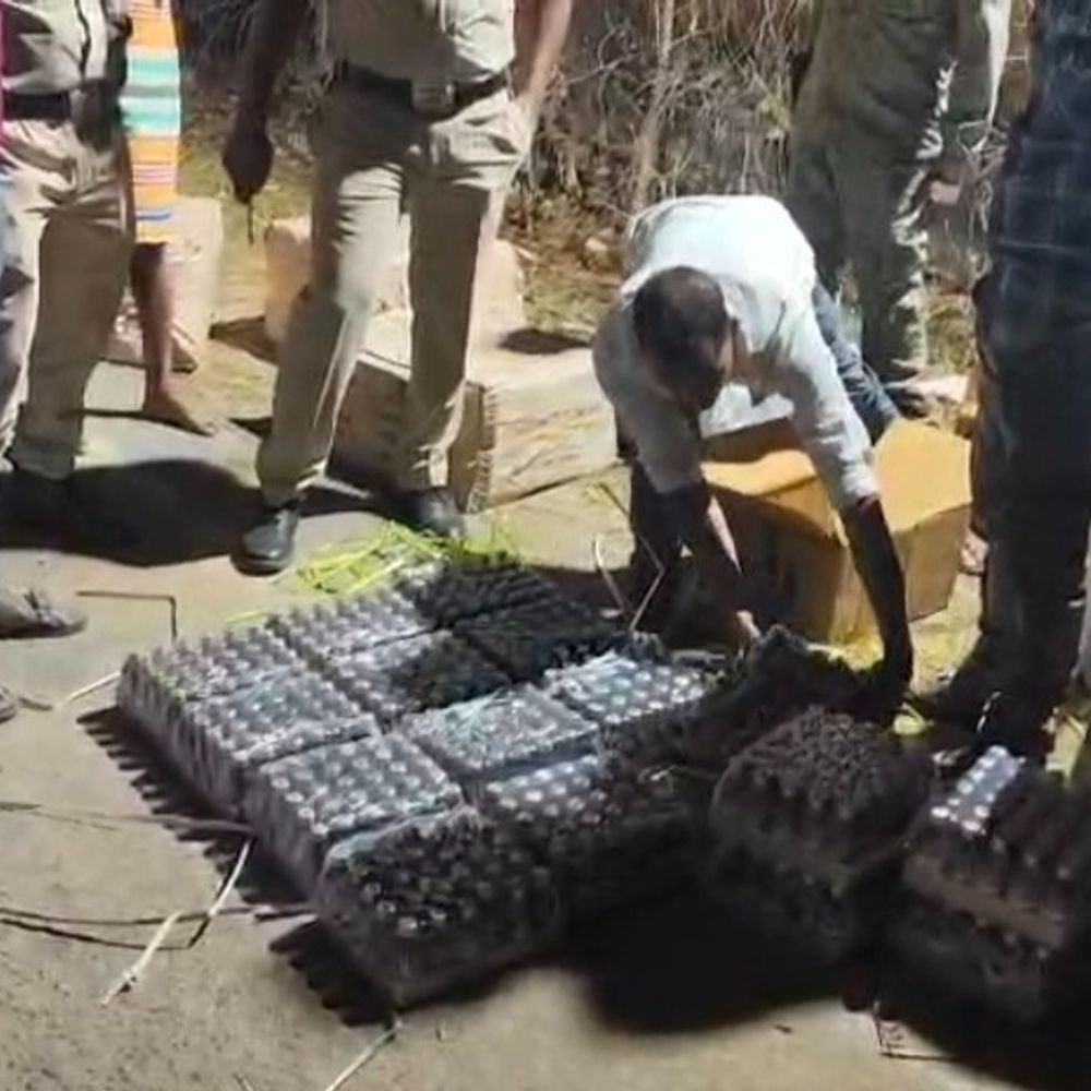 जशपुर में बस से 48 लीटर नशीली कफ सिरप जब्त:  ड्राइवर-कंडक्टर समेत 3 गिरफ्तार, बिहार से लाई गई थी खेप, एनडीपीएस एक्ट में केस दर्ज – Jashpur News